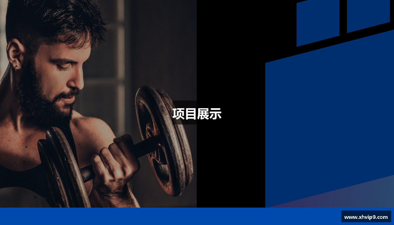 项目展示